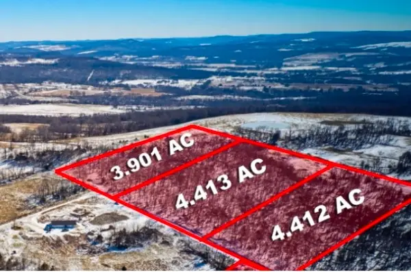 TBD Lot 13,14,15 Madison County Rd 7083, Hindsville, AR 72738
