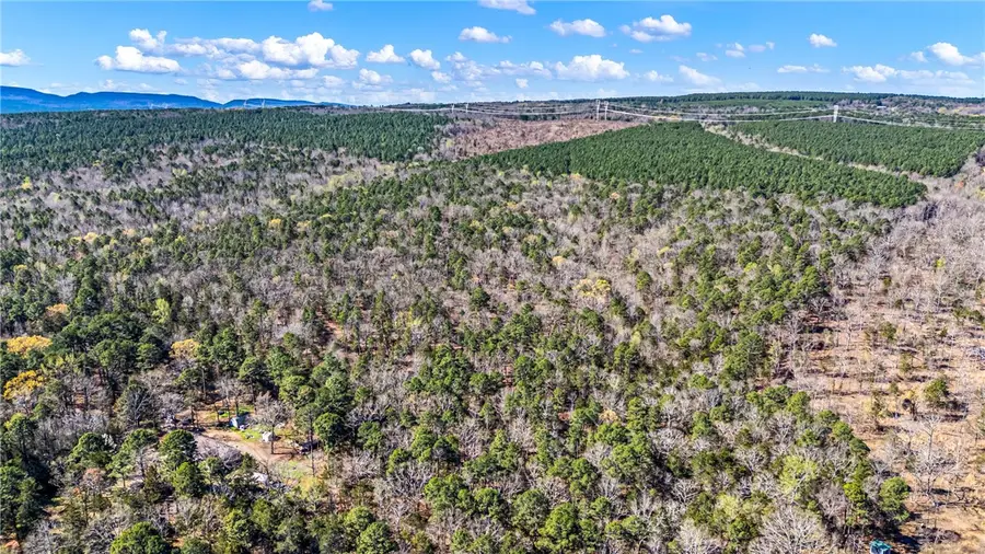 Riverside Road, Delaware, AR 72835 - #2