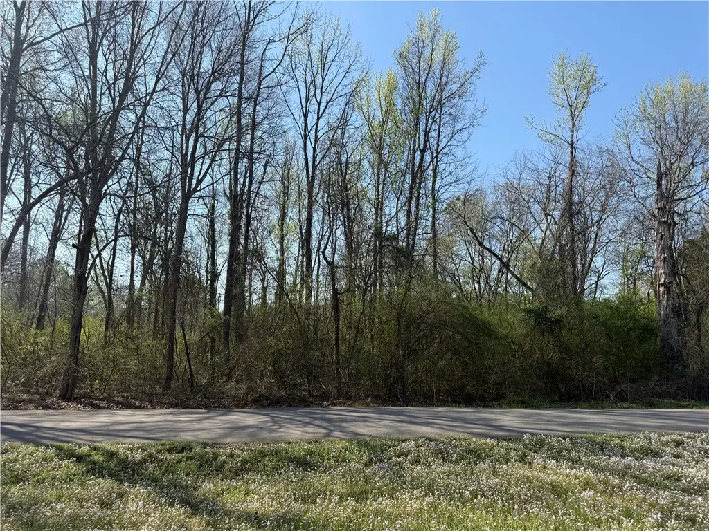 Harkey Street, Ola, AR 72853 - #1