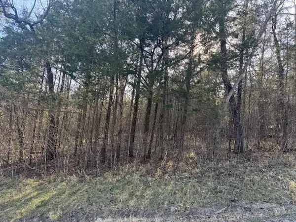 1 Table Rock/cottonwood Drive, Holiday Island, AR 72631