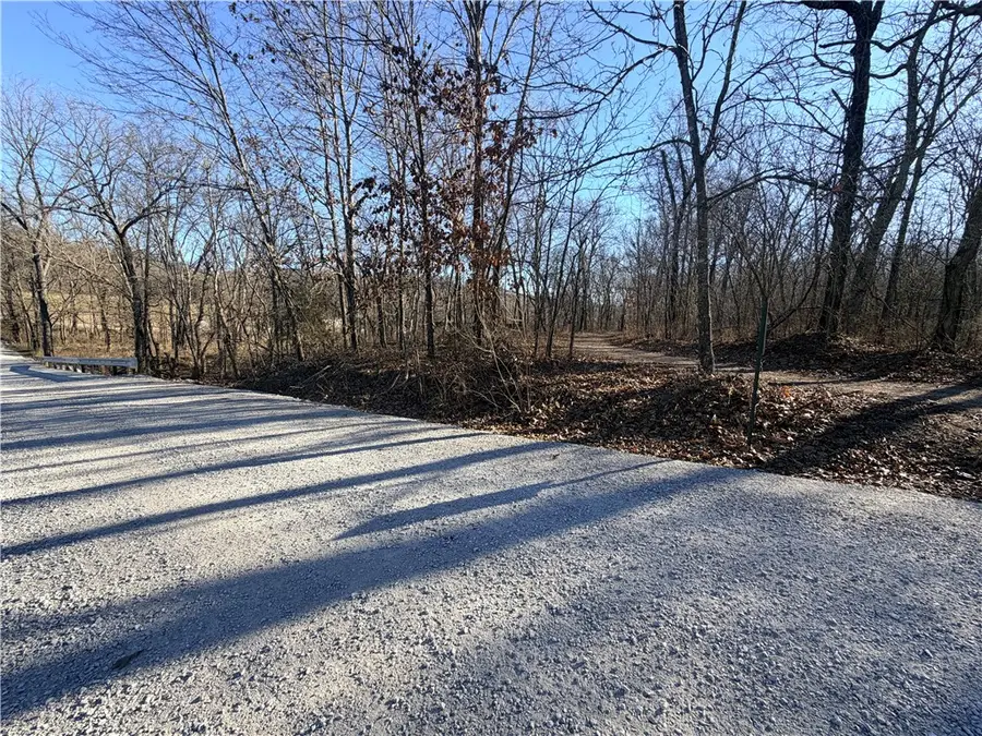 36 Acres Hagee Road, Anderson, MO 64831 - #3