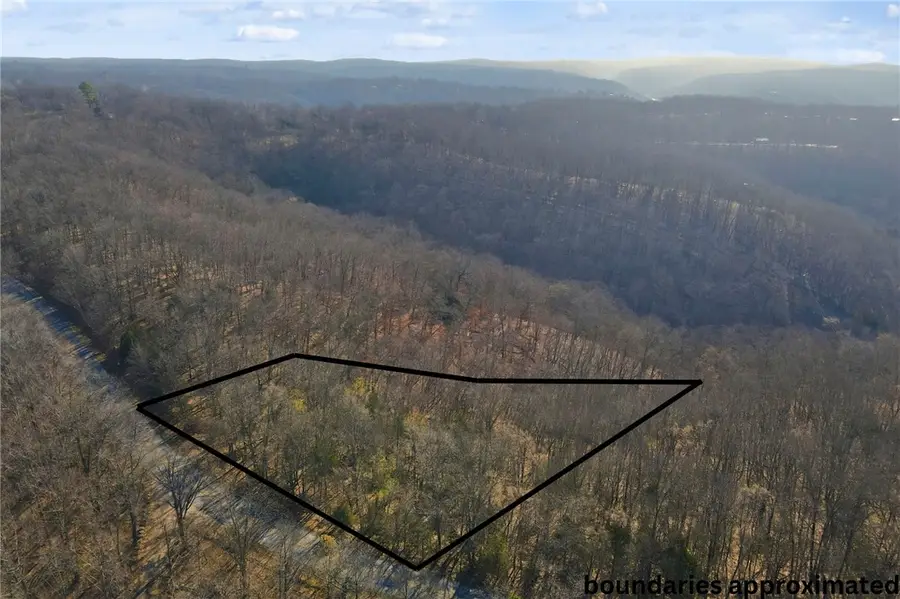 Tract 4  1601 Mundell Road, Eureka Springs, AR 72631 - #3