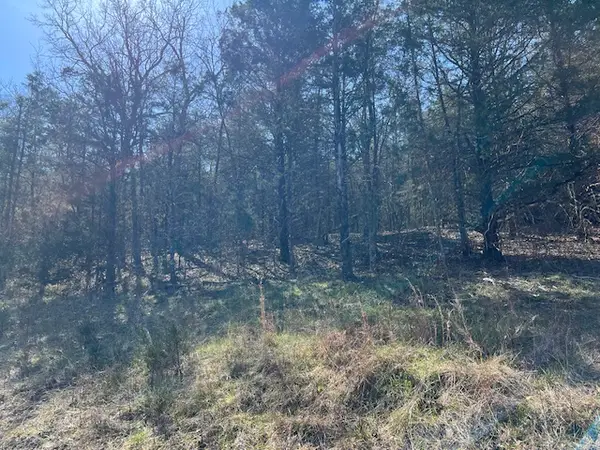 29 Wild Turkey Drive, Holiday Island, AR 72631