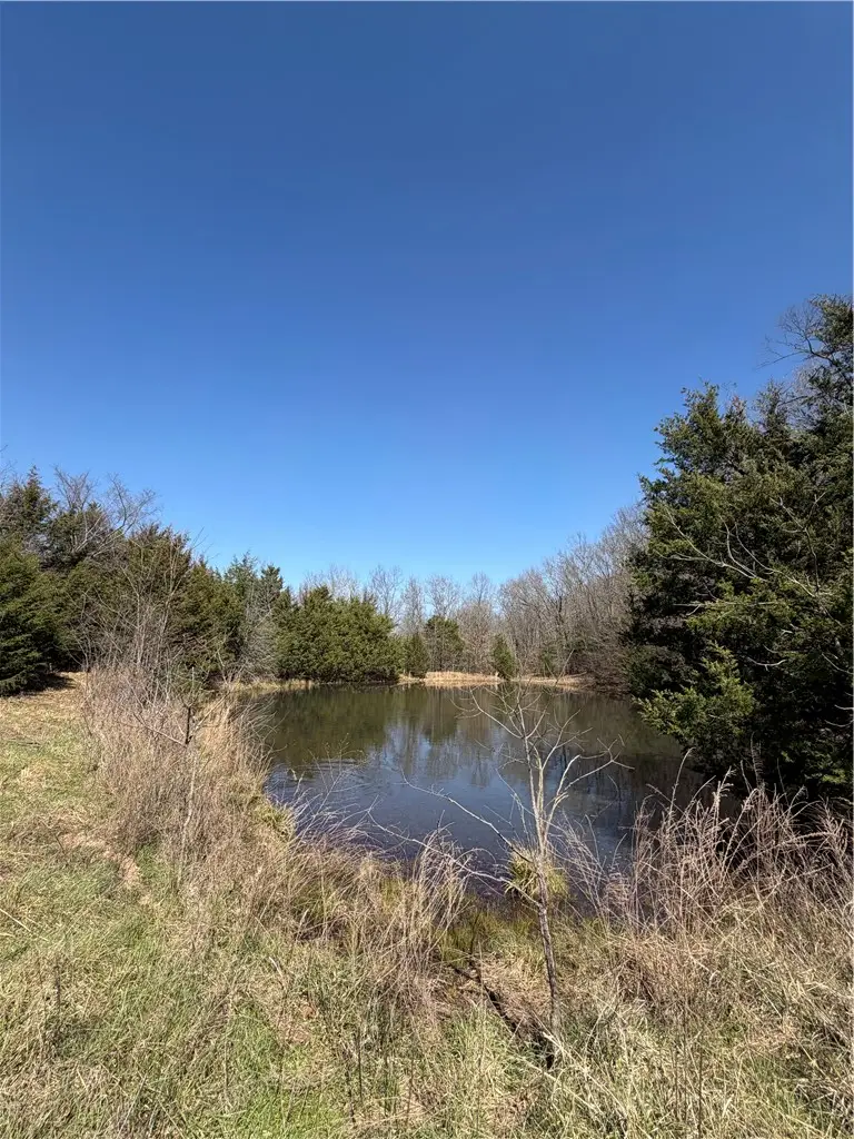 3348 Madison 6351, Wesley, AR 72773 - #1