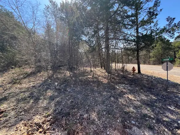 24 Arapahoe Drive, Holiday Island, AR 72631