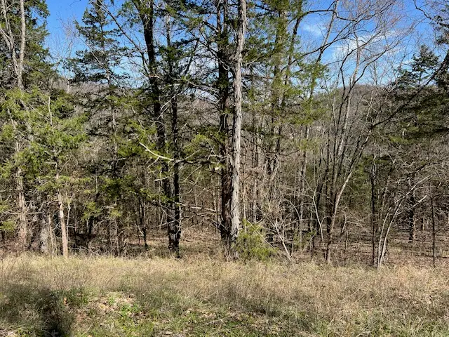14 Thunderbird Lane, Holiday Island, AR 72631 - #1