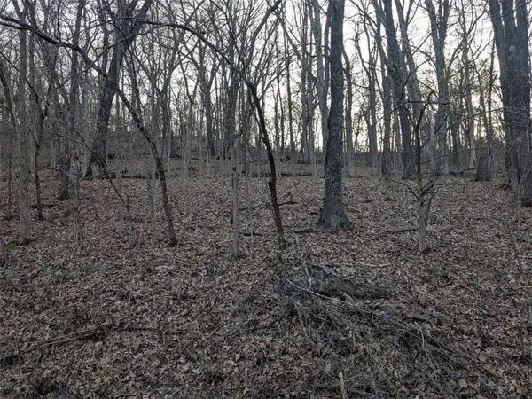 TBD Thunderbird Drive, Holiday Island, AR 72631