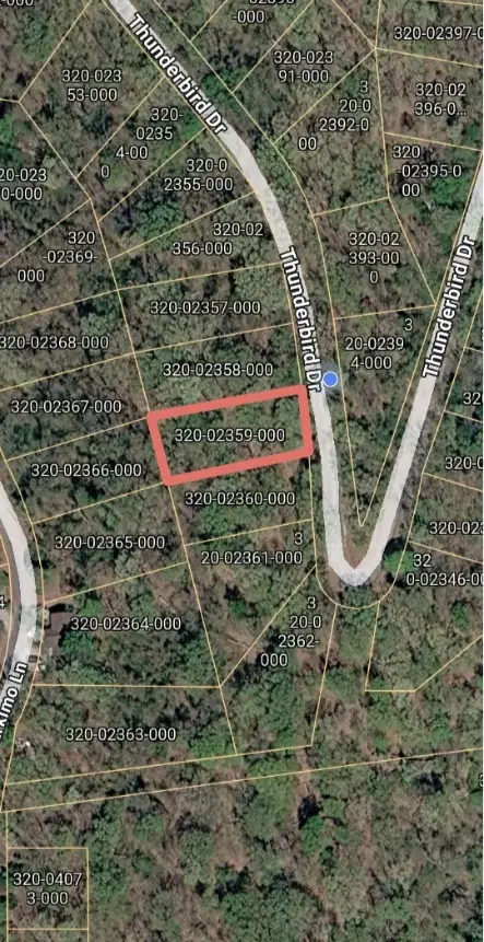 TBD Thunderbird Drive, Holiday Island, AR 72631 - #3