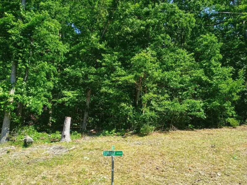 TBD Sunrise Avenue, Holiday Island, AR 72631 - #2