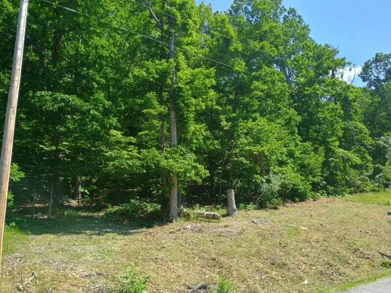 TBD Sunrise Avenue, Holiday Island, AR 72631 - #3