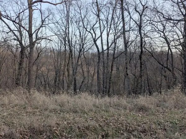 TBD Pyramid Lane, Holiday Island, AR 72631