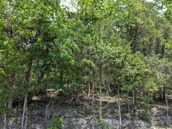 TBD Cottonwood Lane, Holiday Island, AR 72631