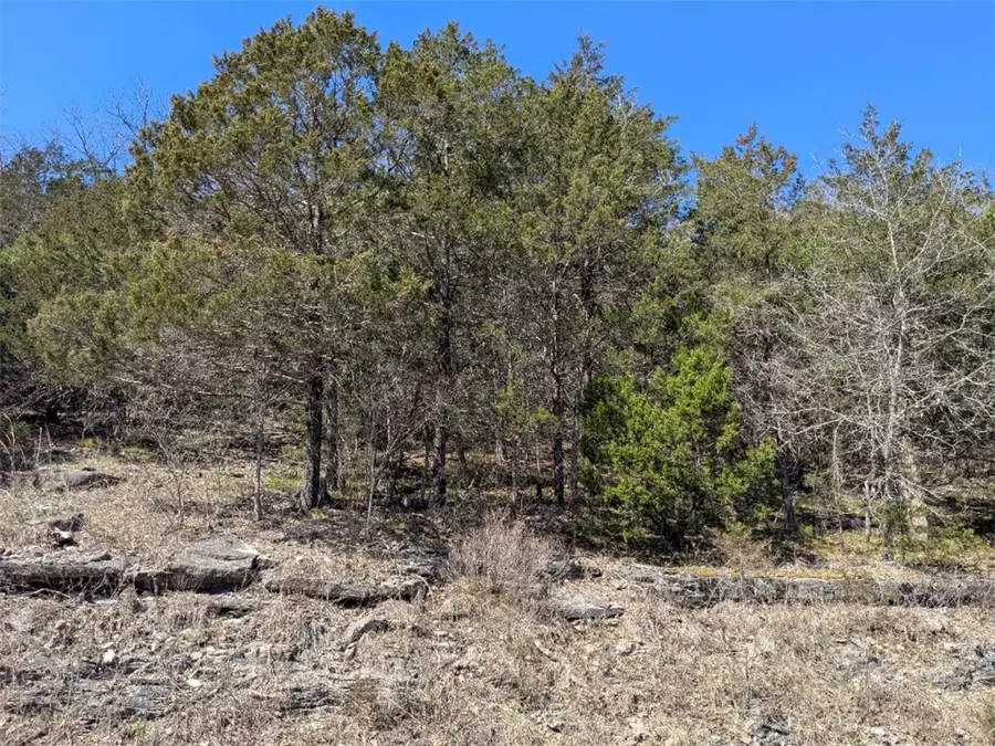 TBD Table Rock Drive, Holiday Island, AR 72631 - #3