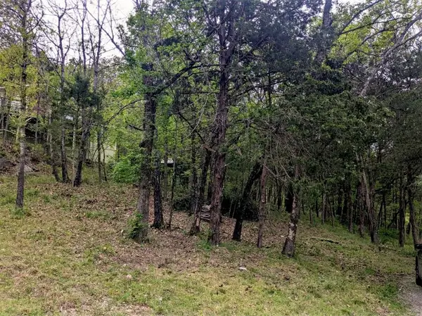 TBD Leatherwood Drive, Holiday Island, AR 72631