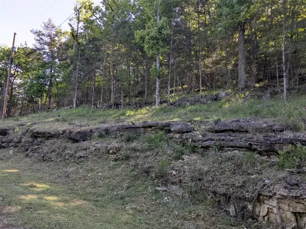 TBD Oakpoint Lane, Holiday Island, AR 72631