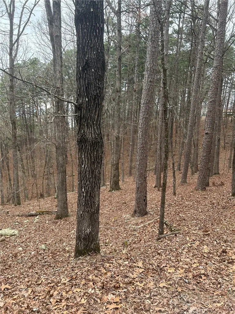 Lot 15 Marbella Way, Hot Springs, AR 71909 - #2