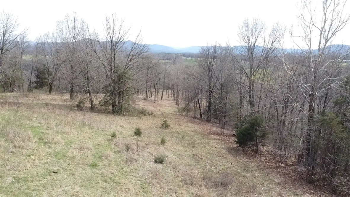 10 acres 123 Highway, Hasty, AR 72640 - #1