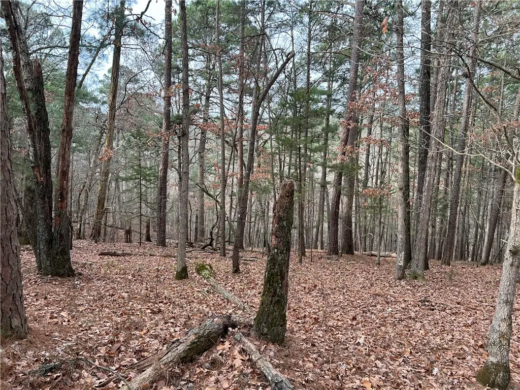 TBD Elzeys Road, Rogers, AR 72756 - #1