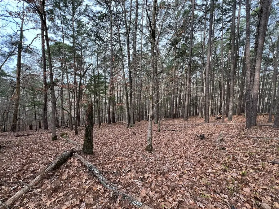 TBD Elzeys Road, Rogers, AR 72756 - #3