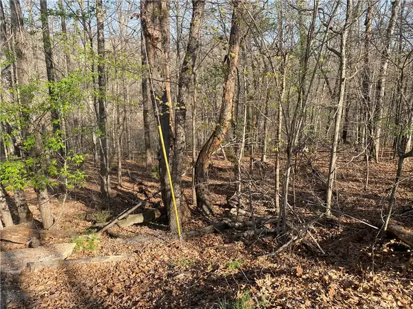 TBD East Crook Lane, Bella Vista, AR 72714