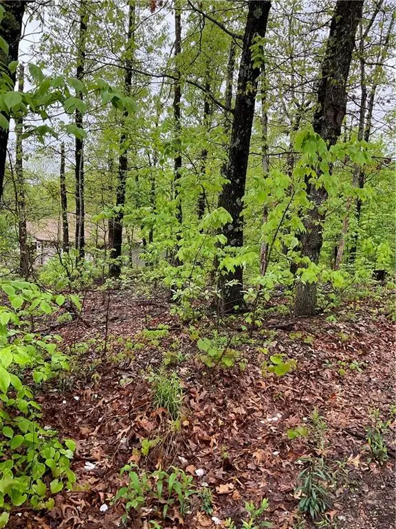 St Asaph Circle, Bella Vista, AR 72714 - #1