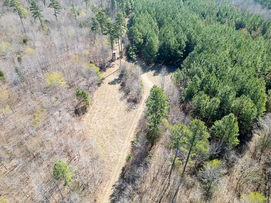 Address Withheld By Seller, Pleasant Plains, AR 72568 - #3