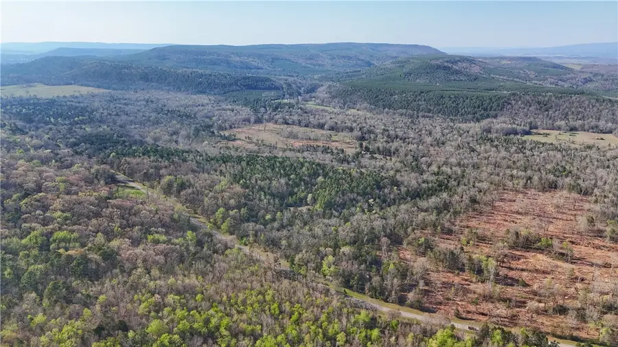 5017 Buttermilk Road, Atkins, AR 72823 - #2