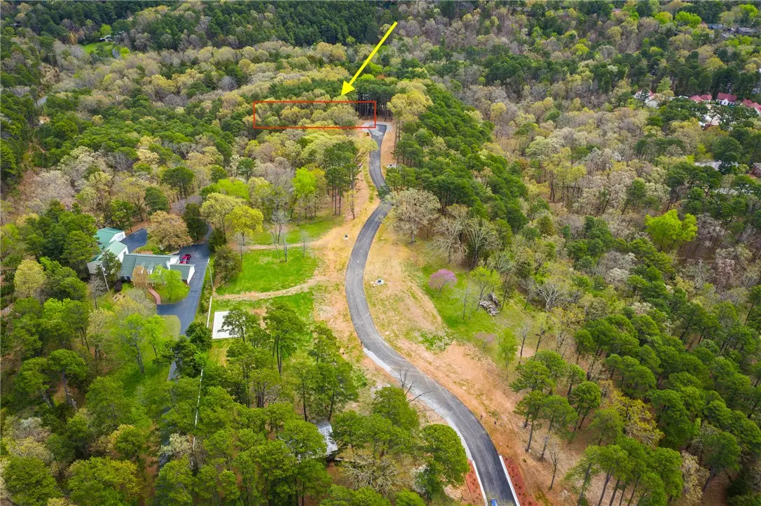 17 Pine Crest Lane, Eureka Springs, AR 72632 - #1
