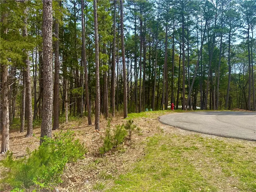 17 Pine Crest Lane, Eureka Springs, AR 72632 - #2