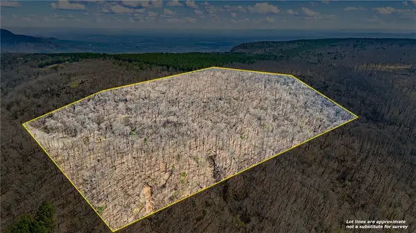 40 Acres, Dardanelle, AR 72834