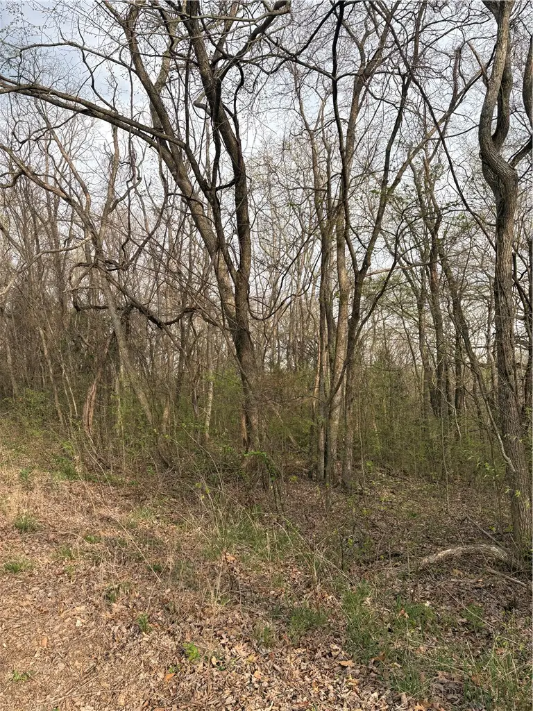 Lots 169, 170, 171 Huckleberry Circle #7-RURBAN, Rogers, AR 72732 - #3