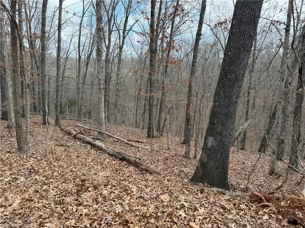 Celtic Drive, Bella Vista, AR 72714
