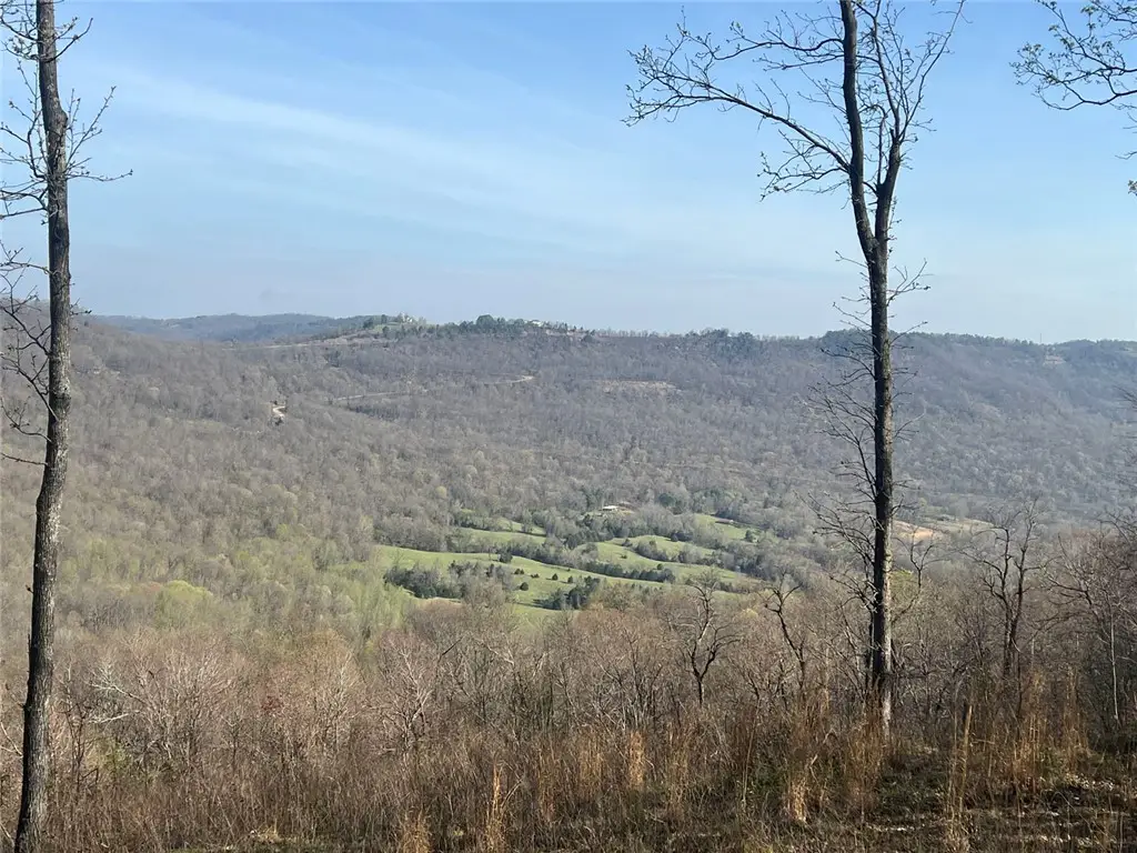 TBD-I Nc 6827, Jasper, AR 72641 - #1