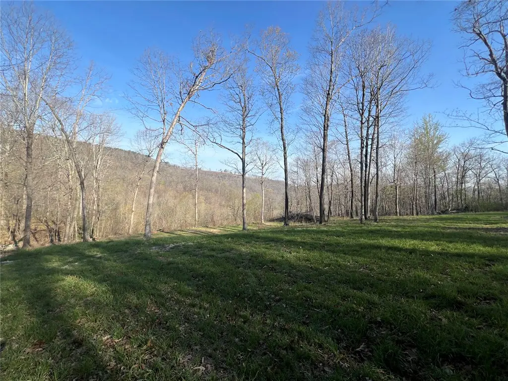 TBD-H Nc 6827, Jasper, AR 72641 - #1