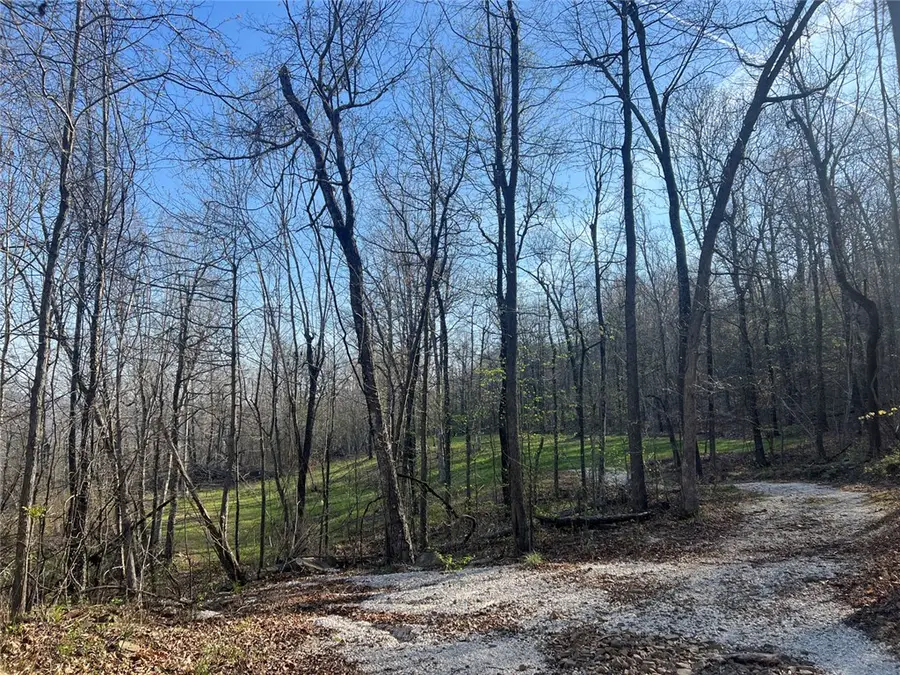 TBD-H Nc 6827, Jasper, AR 72641 - #3