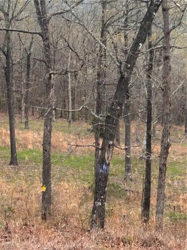 TBD 6563 Madison 2340, Huntsville, AR 72740 - #1