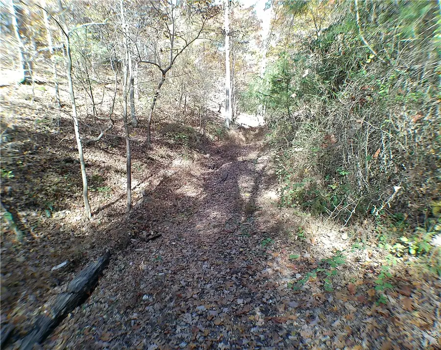 19185 Highway 303, Rogers, AR 72756 - #3