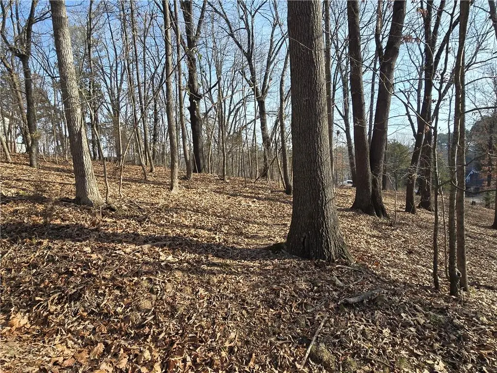 .44 Acres Ellenbarger Wc 516, Springdale, AR 72764 - #1