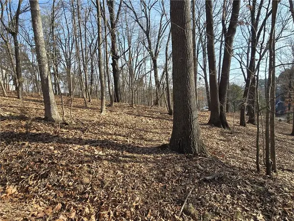 .44 Acres Ellenbarger Wc 516, Springdale, AR 72764