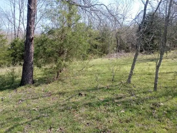 975-00026-001 Washington Street, Harrison, AR 72601 - #3