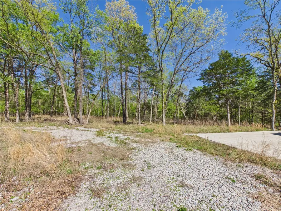 5340 E Persimmon Pt, Lead Hill, AR 72644 - #3