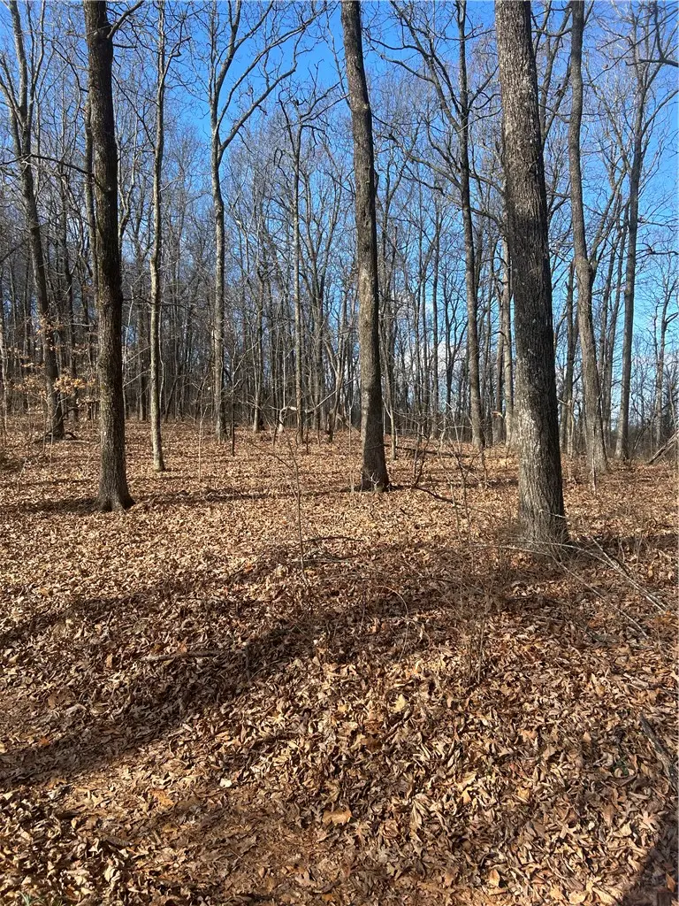 Madison 3605, Kingston, AR 72742 - #1