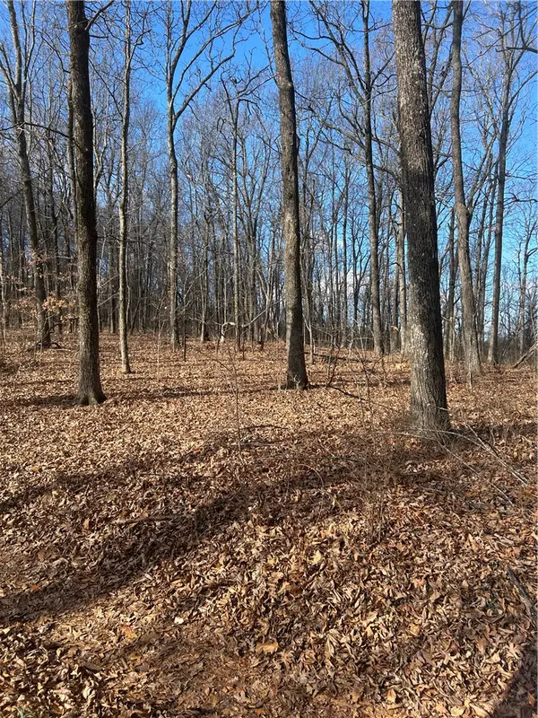 Madison 3605, Kingston, AR 72742
