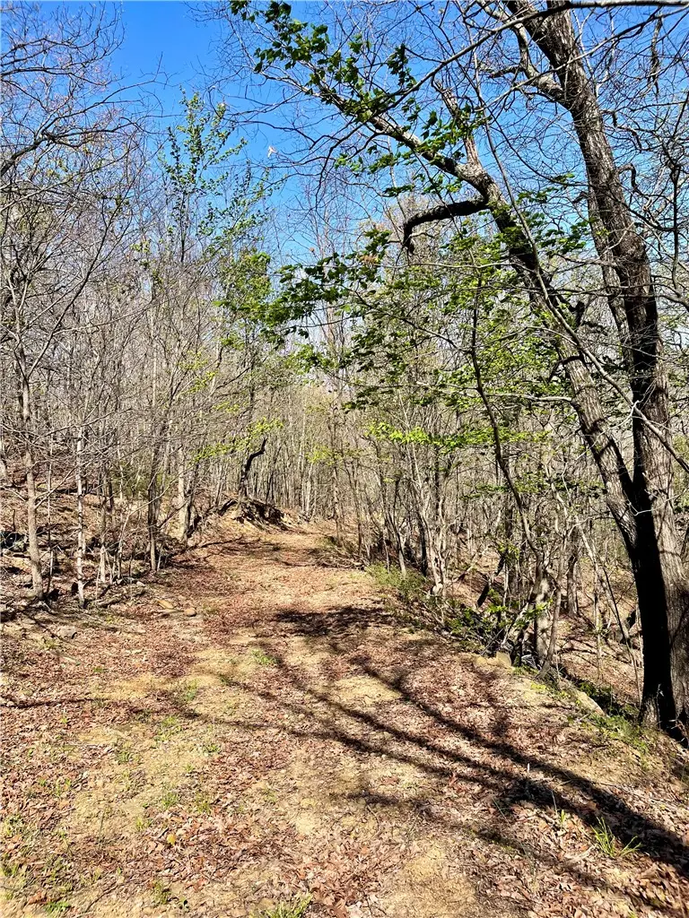 TBD Madison 5555, Huntsville, AR 72740 - #2