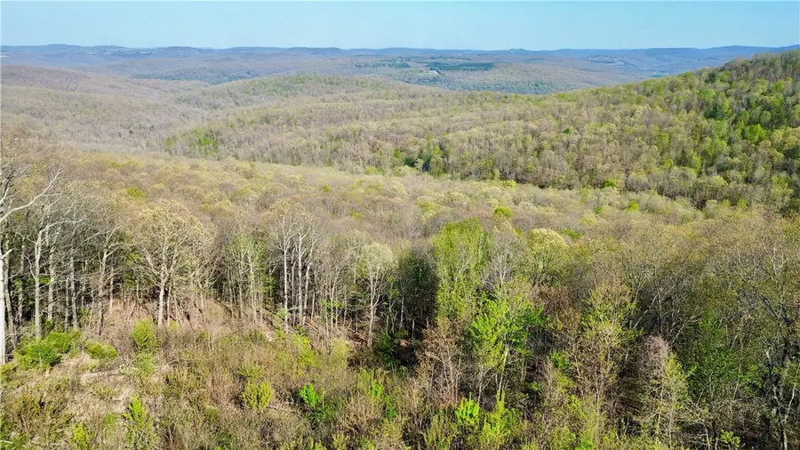 TBD Madison 5555, Huntsville, AR 72740 - #3
