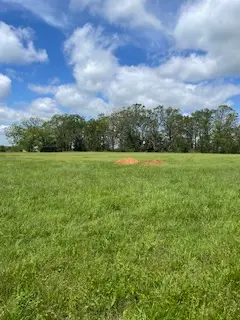 7 Check's Corner Road, Sulphur Springs, AR 72768 - #1