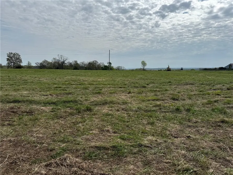 Tract B Old Cincinnati Road, Lincoln, AR 72744 - #3