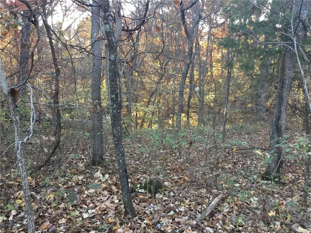Buttercup Road, Rogers, AR 72756 - #1