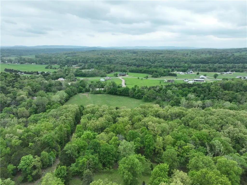 2465 Denton Ferry Road, Whiteville, AR 72726 - #1