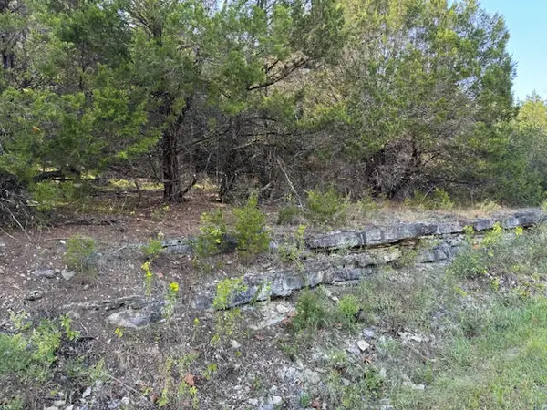 268 Table Rock Drive, Holiday Island, AR 72631
